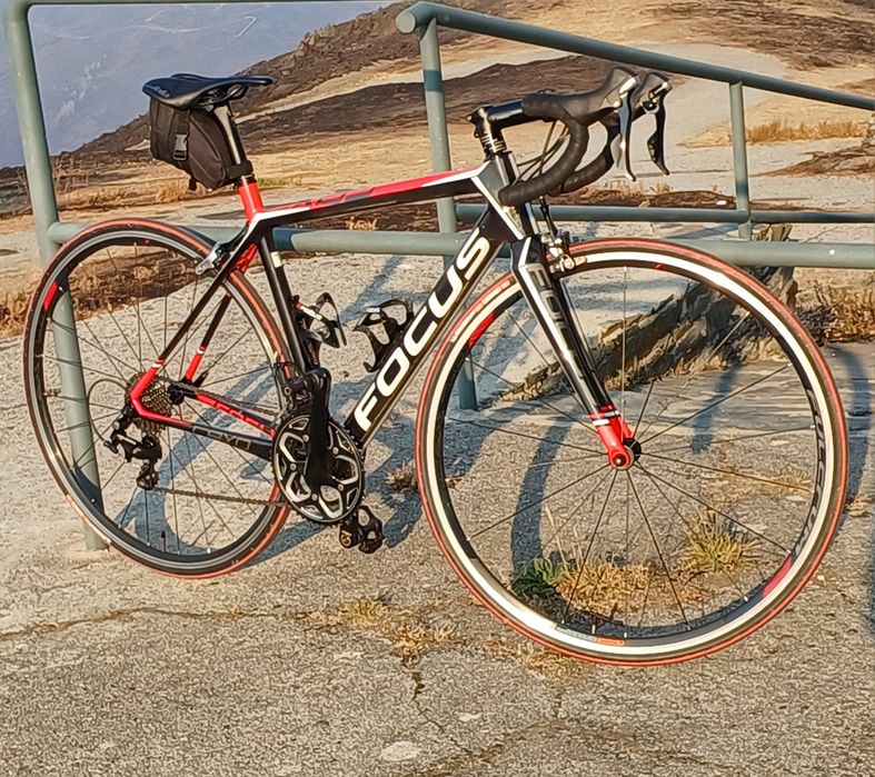 Focus cayo como nova