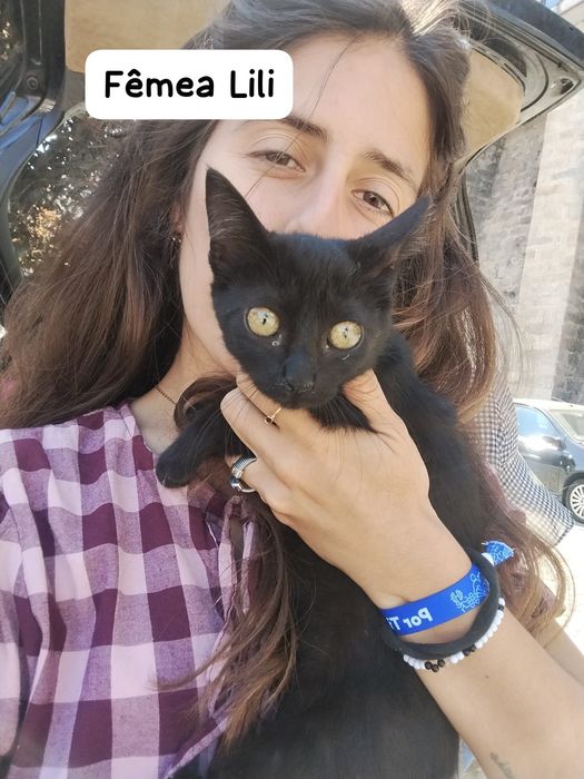 Gatas meigas 4 meses