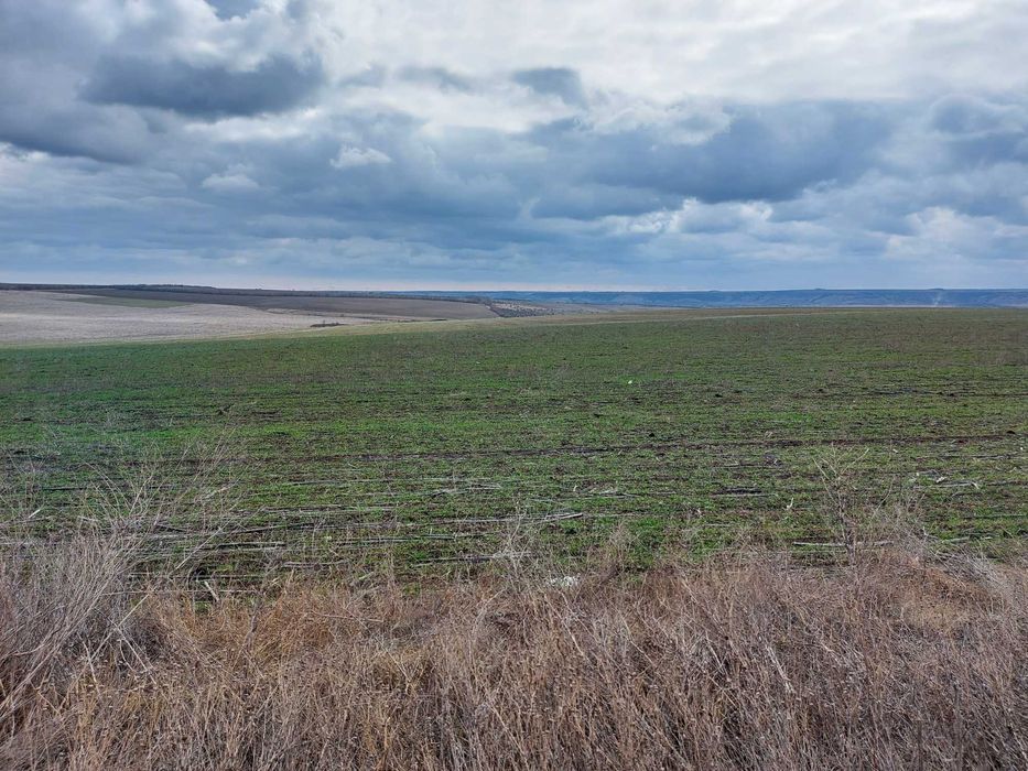 земля сельскохозяйственного назначения