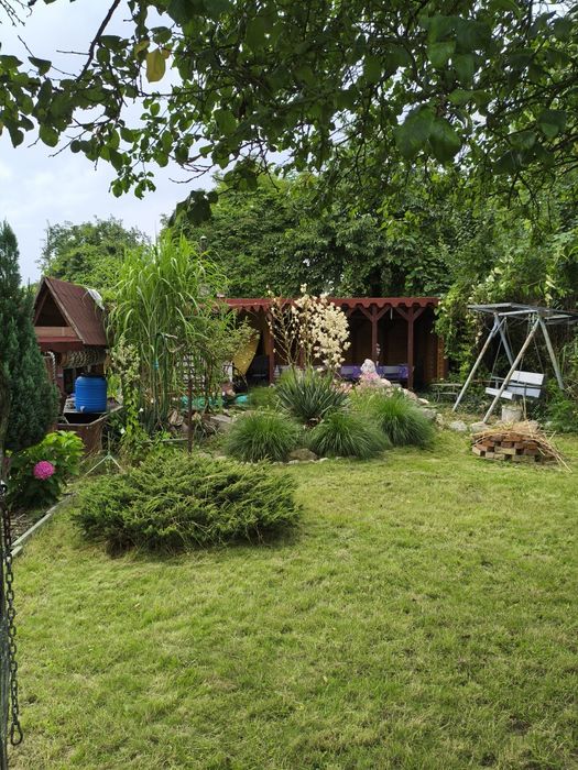 Nowa cena Noworoczna !Ogródek działkowy 503m2