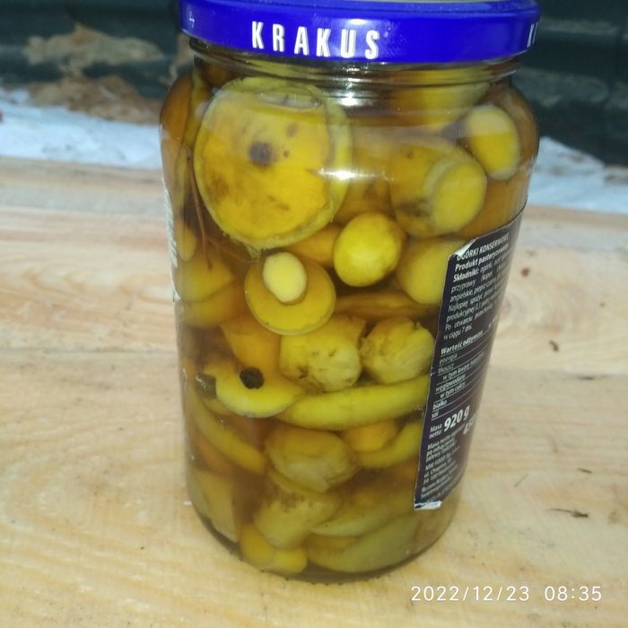Гриби свіжі, концервовані