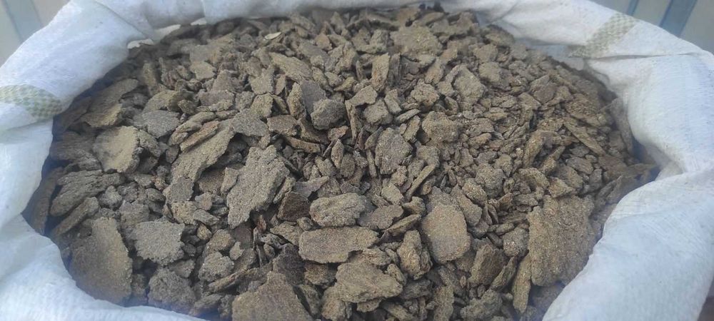 Макуха соняшникова