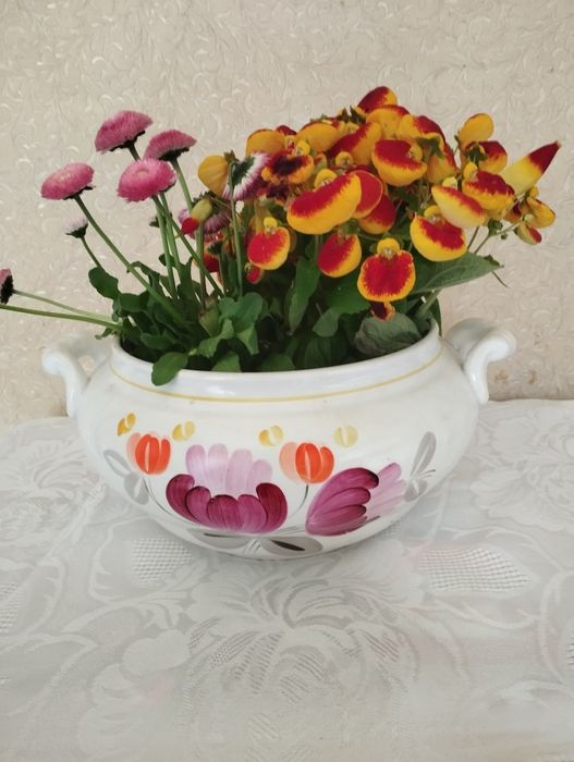 Супница, чашки,сахарница, чайник