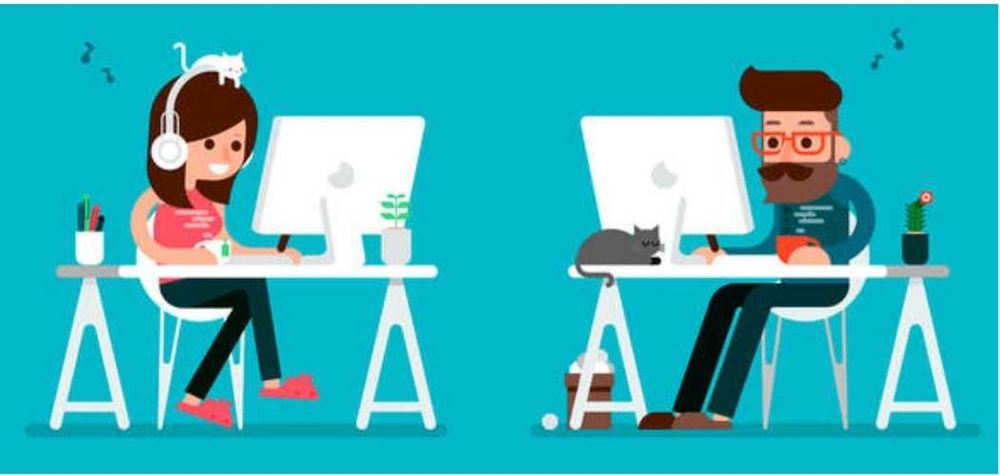 1 e 2 Ciclo - Explicações online