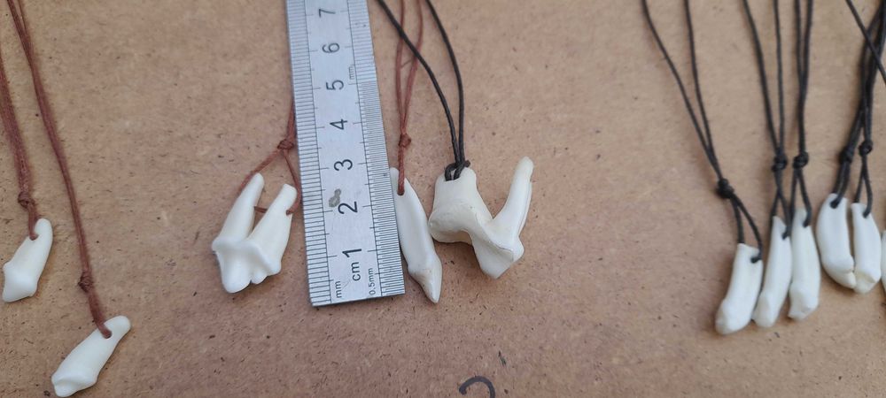 Зуб волка.Клик вовка.Амулет.Клык.