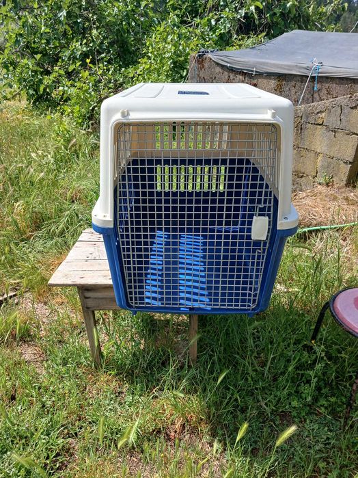 Transportadora para cães - Dog's Travel Carrier