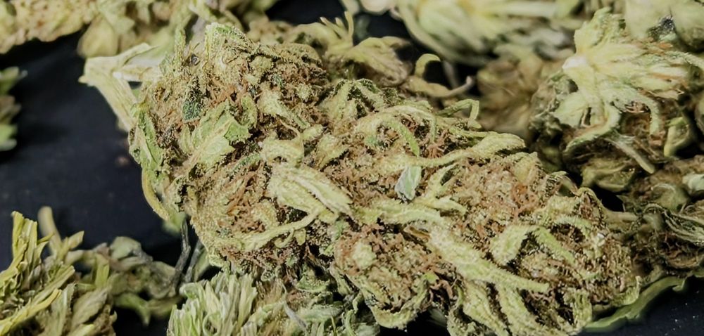 Legalny susz CBD 12.21% NATURALNY  50g