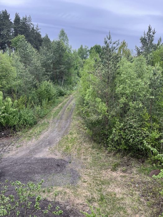 Будівля біля лісу