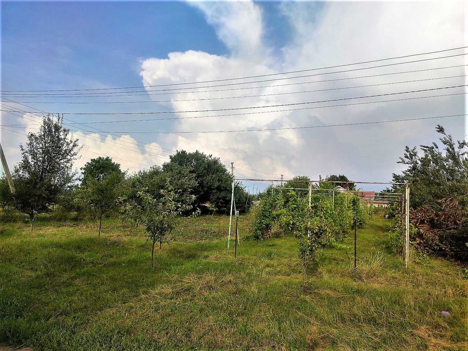 Продам земельну ділянку в с. Коротич (світло, свердловина)