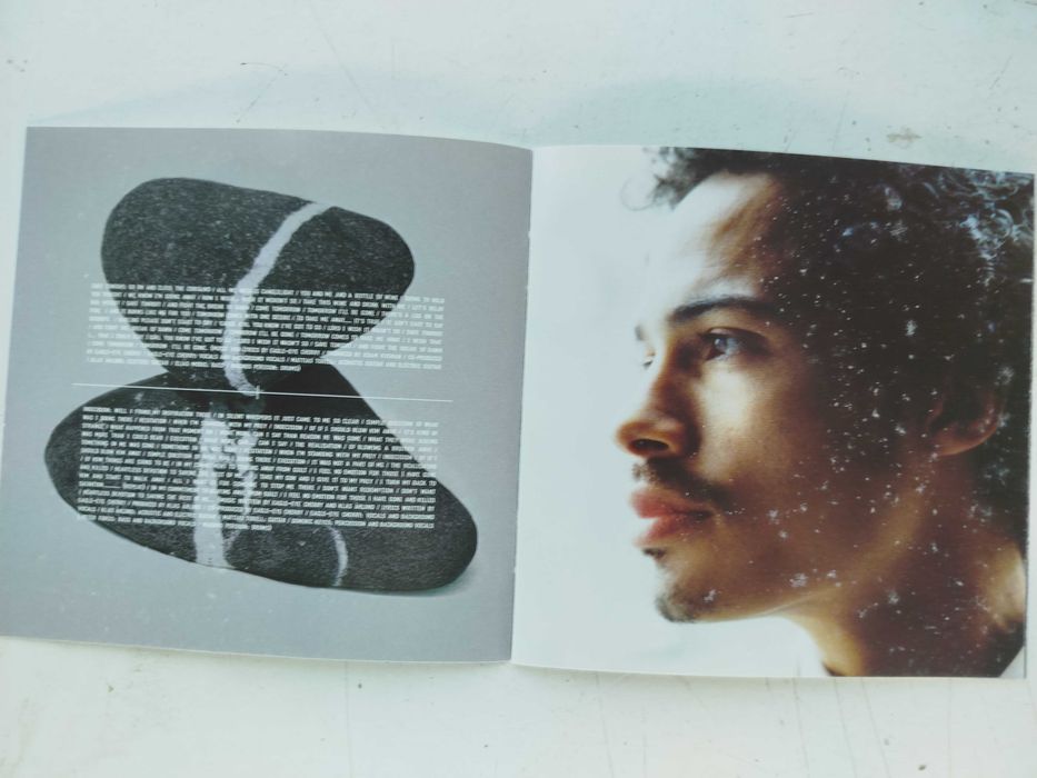 Okładka CD Eagle-Eye Cherry Desireless poligrafia OP+OT bez płyty !!