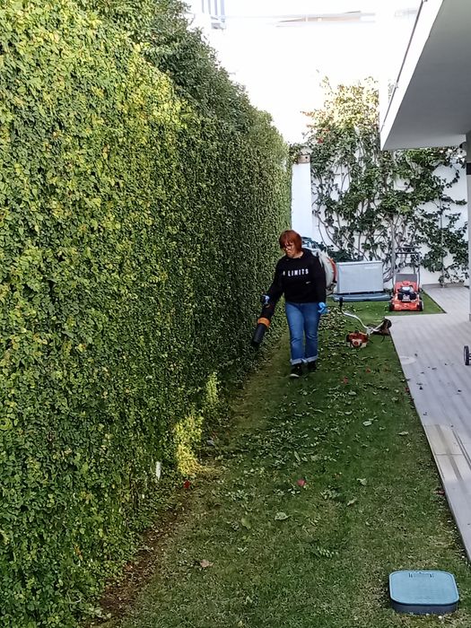 Manutenção de jardins em Lisboa