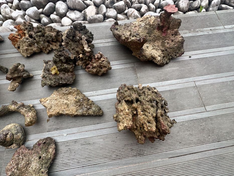 Rocha viva de aquário Reef (água salgada) 71kg