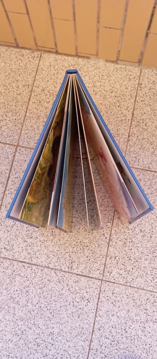 Livro como eu sou?