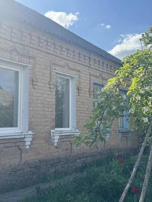 Продаж будинку з ділянкою 6 соток Кущівка (вул.Чернишевського)