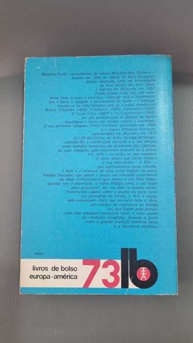 A mãe livro de gorki