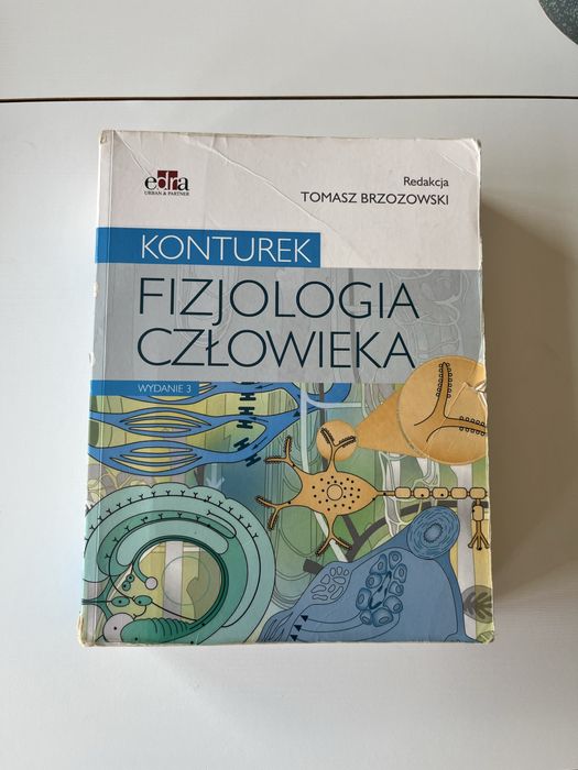 Fizjologia Konturka