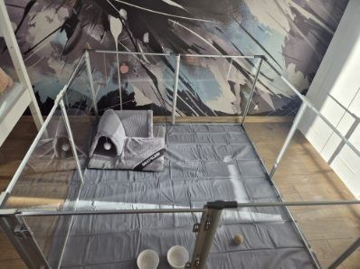 Kojec dla psa / królika / kota / świnki morskiej