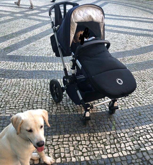 Bugaboo Cameleon 3 + acessorios