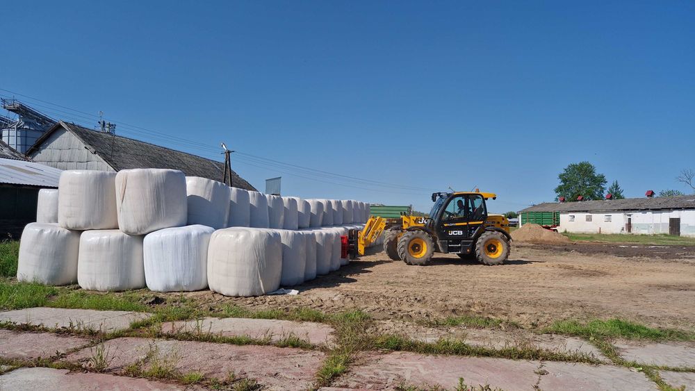 Sianokiszonka Lucerna Bele