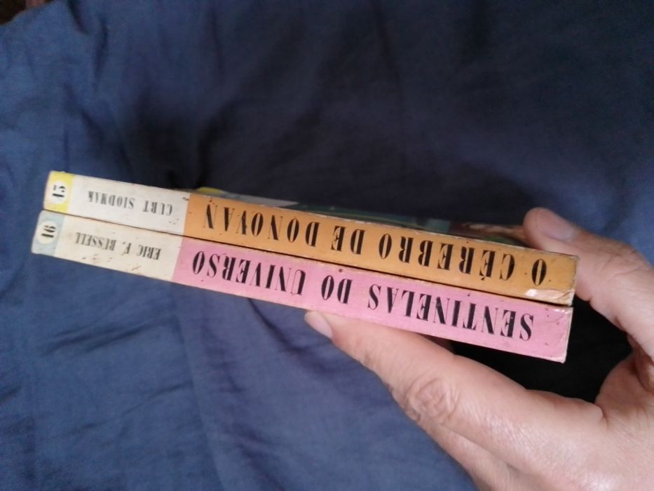 Obra talha dourada/Ensamblagem/Pintura/Porto-Bispo30E-Alcofa5EDesde5E