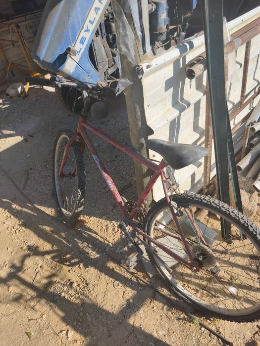 Bicicletas diversas