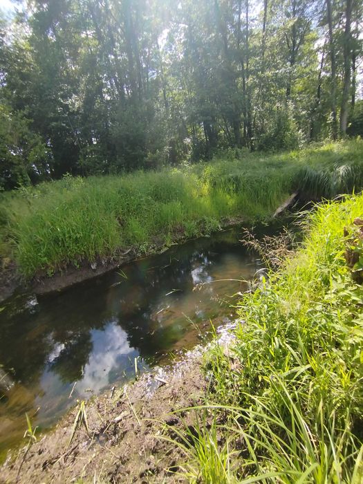 Działki Pobyłkowo Małe bezpośrednio nad rzeczką, z możliwością wykopania stawu. – pohled 2