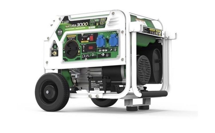 Генератор газ/бензин GENERGY Natura 3000