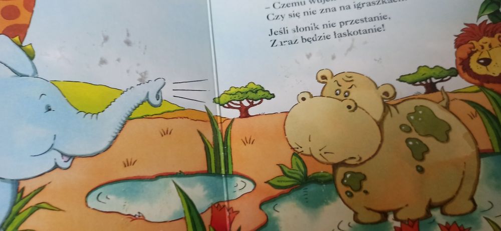 Książeczki o zwierzętach dla maluchów 5 szt.