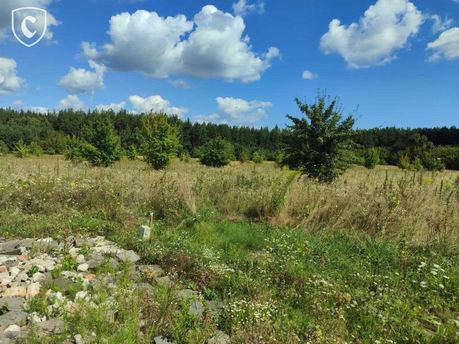 Ділянка 12 сот. з електроенергією , Букаєвиця. с. Старі Петрівці.