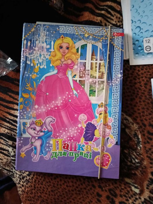 Папка +тетради школьные