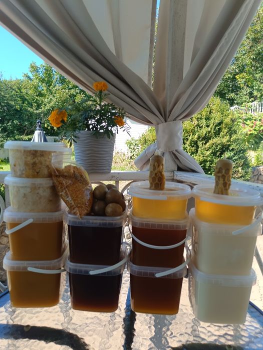 Мед акацієвий липовий гречаний мед в сотах пилок перга vtl