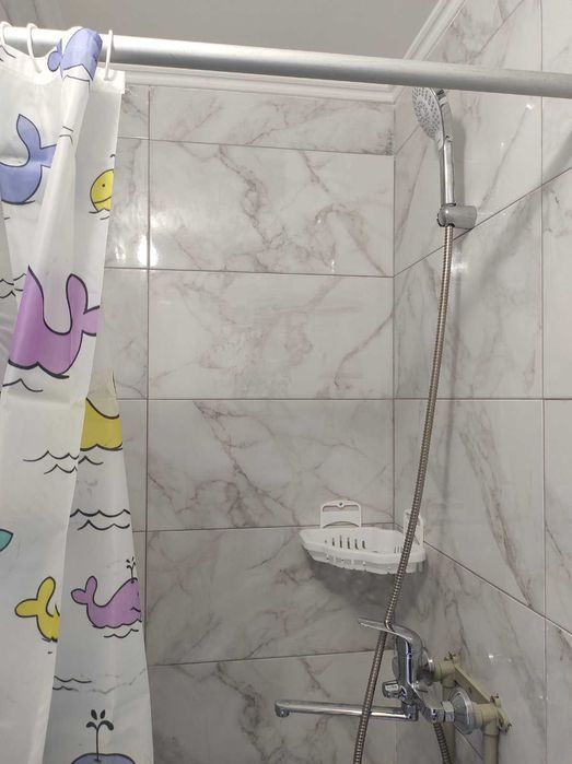 Здам студію 20 кв.м., одна, по вул. Ріхтера, ремонт, меблі, техніка