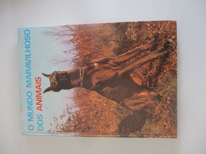Livros O Mundo Maravilhoso dos Animais (Colecção)