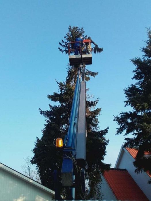 Koszenie trawy,koszenie działek budowlanych, mulczer leśny