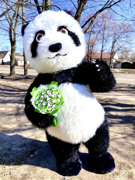 Панда.Ведмідь.Аніматори Чернігів .Аниматоры.Мишка