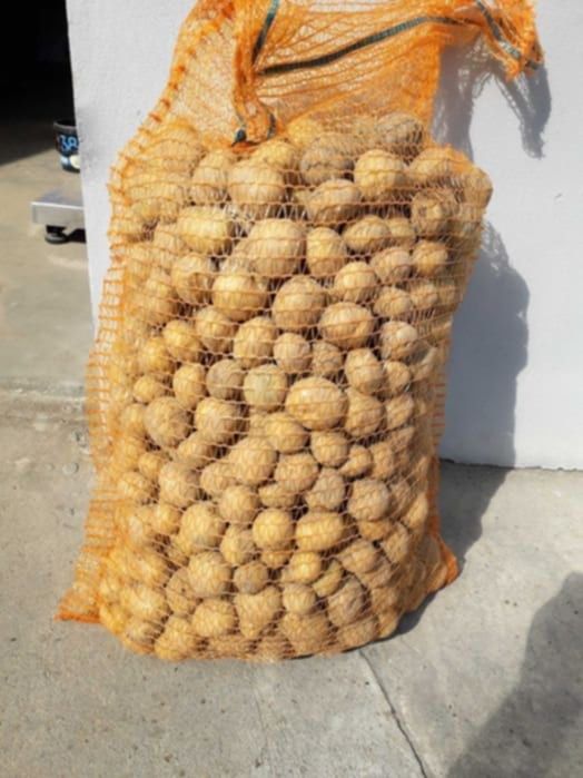 Ziemniak Jurek, Queen Anna wielkości sadzeniaka