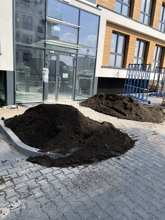 Czarnoziem ziemia ogrodowa ogrodnictwo