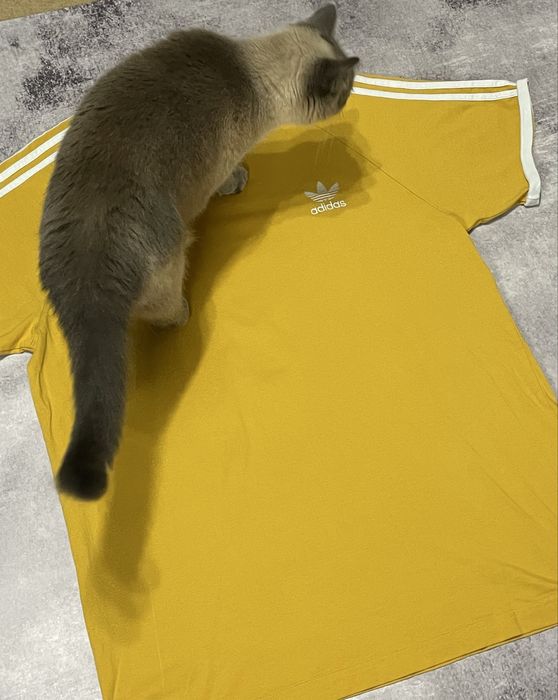 Футболки/Футболка Nike/Adidas/Tommy Jeans/Black Squad