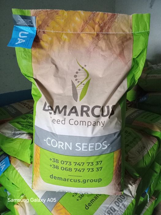 Насіння Кукурудзи ФАО290, Квотер від DeMarcus