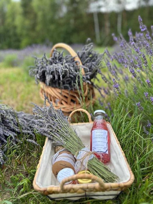Lawendowy Syrop - 100 % naturalny