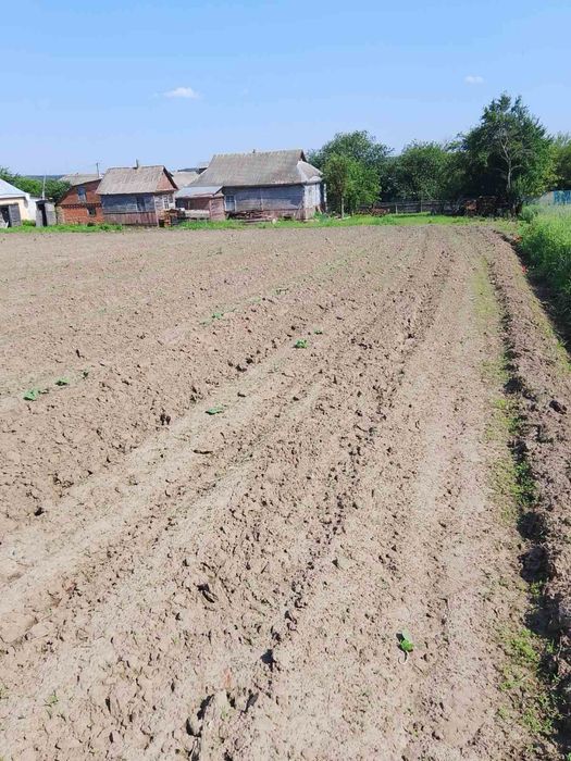 Продам будинок село Ситняки