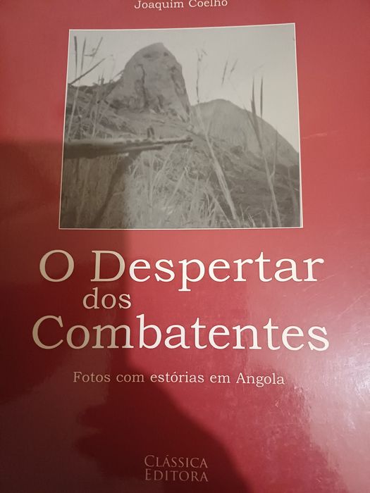 O despertar dos combatentes