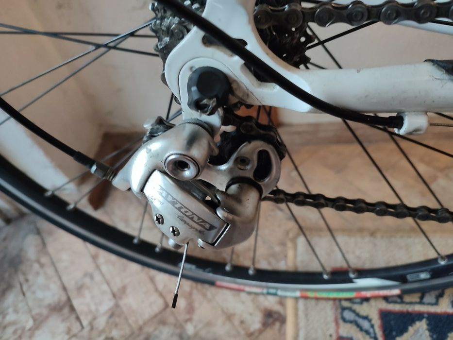 Rower Ridley Icarus, rama 58, osprzęt Campagnolo