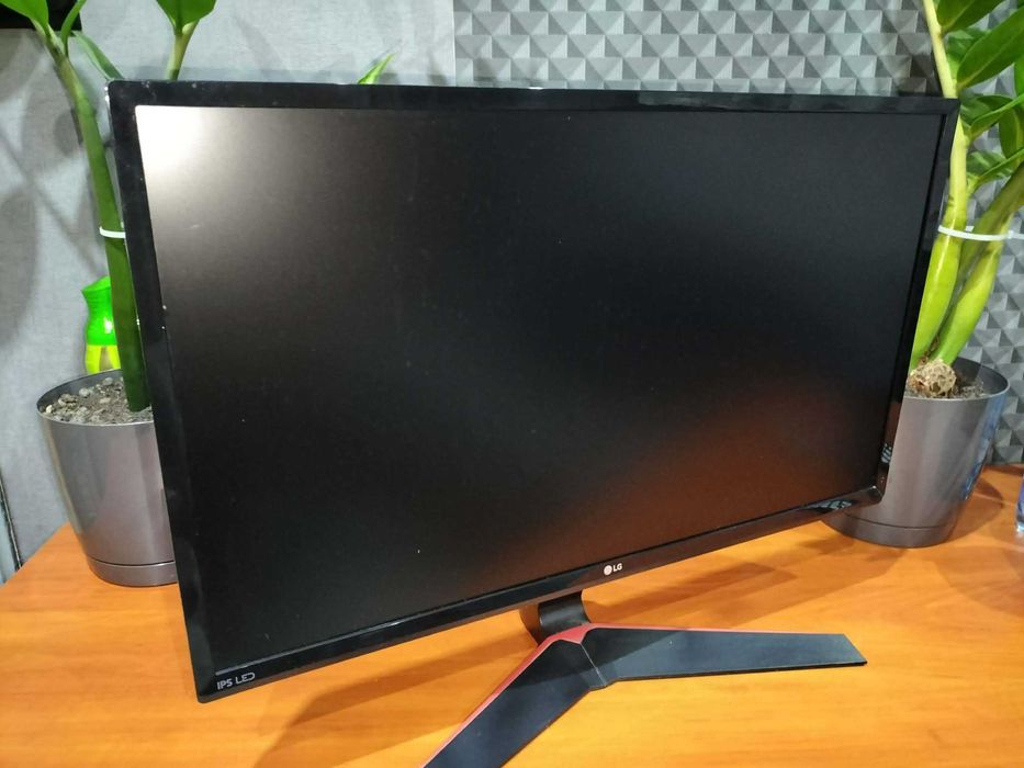 Monitor LG24MP59G 24 cale