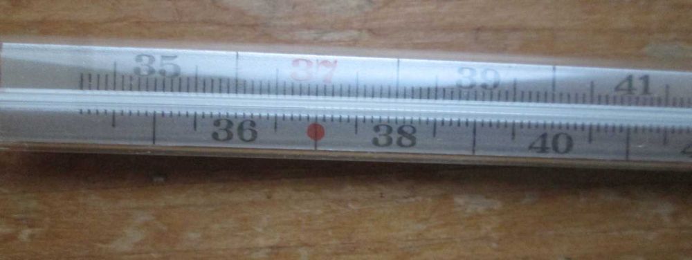 Термометр медицинский Normalglas