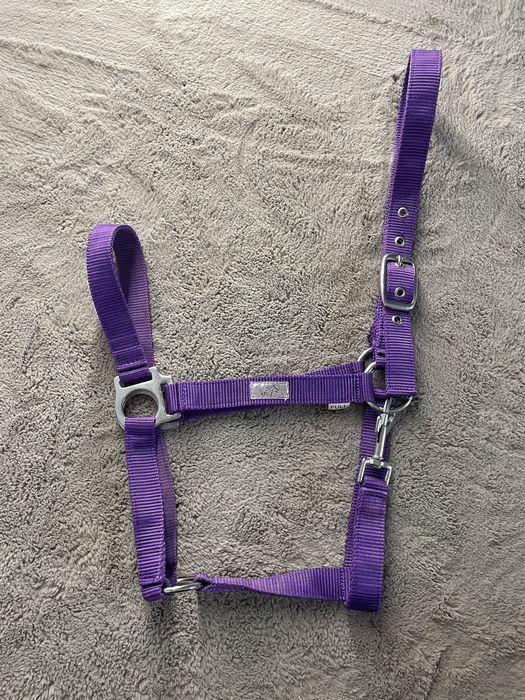 Zestaw kantary i uwiązy