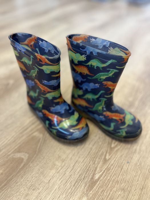 Kalosze dinozaury 27