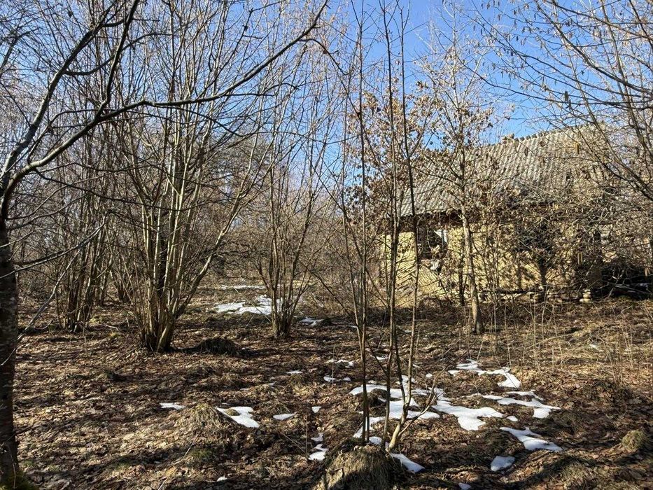 Продаж / Земля / Верхнє Синьовидне / Стрийський, Львівська область