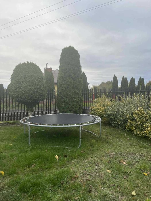 Trampolina 244 używana