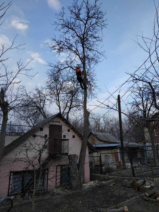 СПИЛ деревьев, АЛЬПИНИСТЫ, обрезка веток. Дробление, измельчение веток